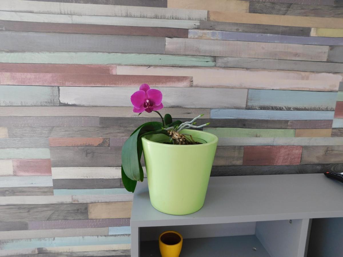 Tina Apartman Prnjavor Экстерьер фото